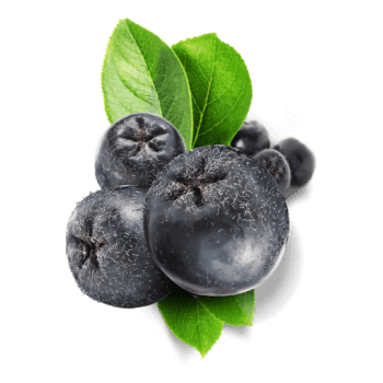 Aronia berries